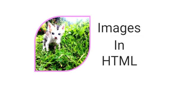 How to Insert Image in HTML using Notepad | HTML Images